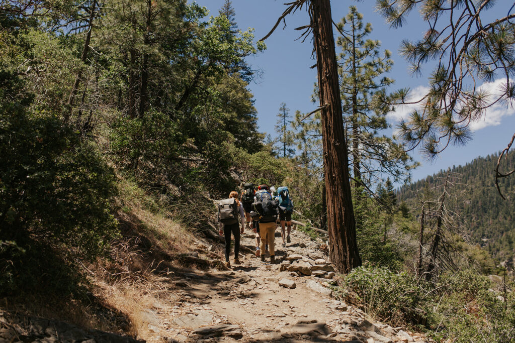 couple hikes through woods at Yosemite elopement