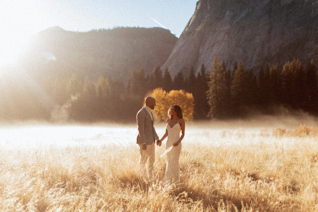 couple holds hands in sunny foggy field 