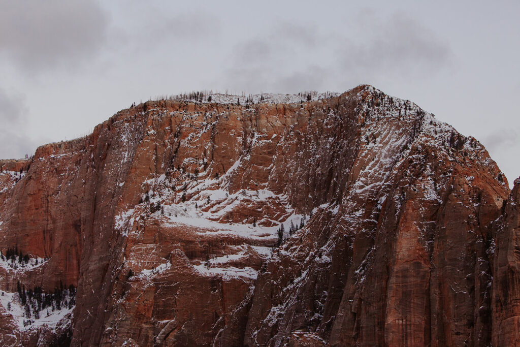 snow-covered red rocks at Zion National Park